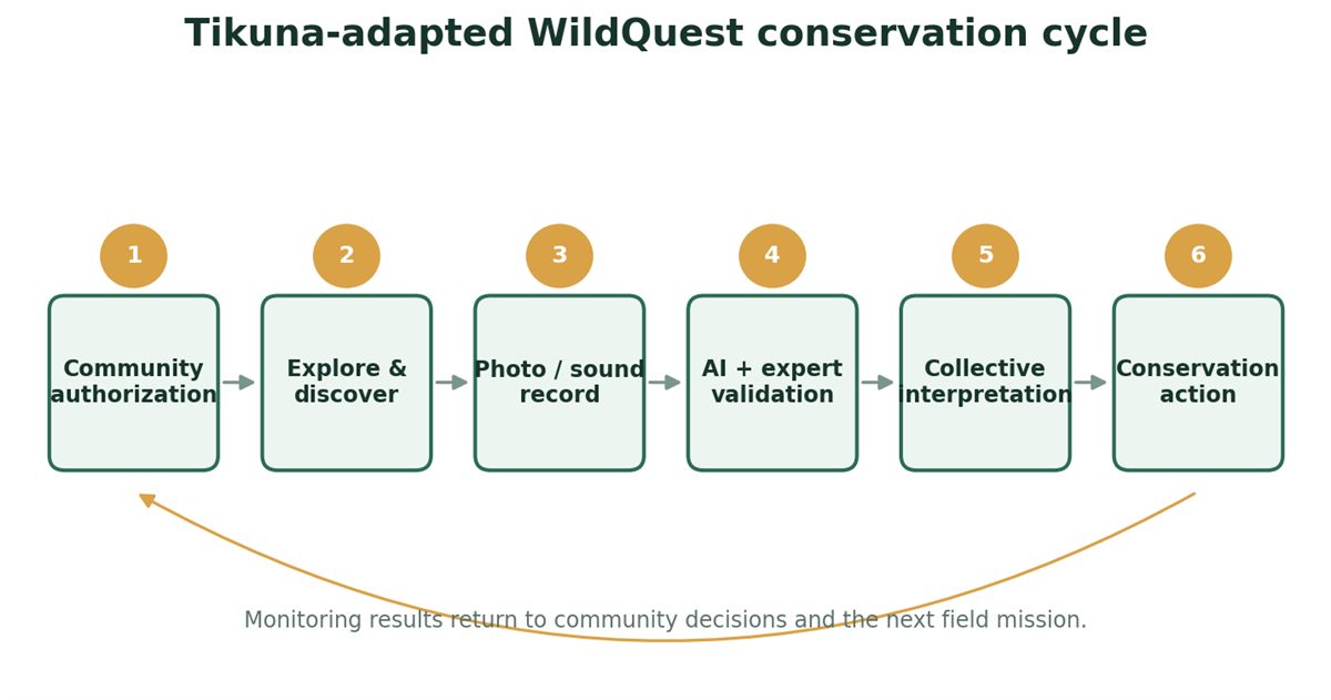 Figura 3: ciclo de conservación adaptado Tikuna