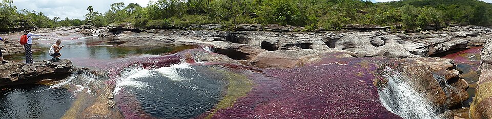 Caño Cristales, el río de los cinco colores